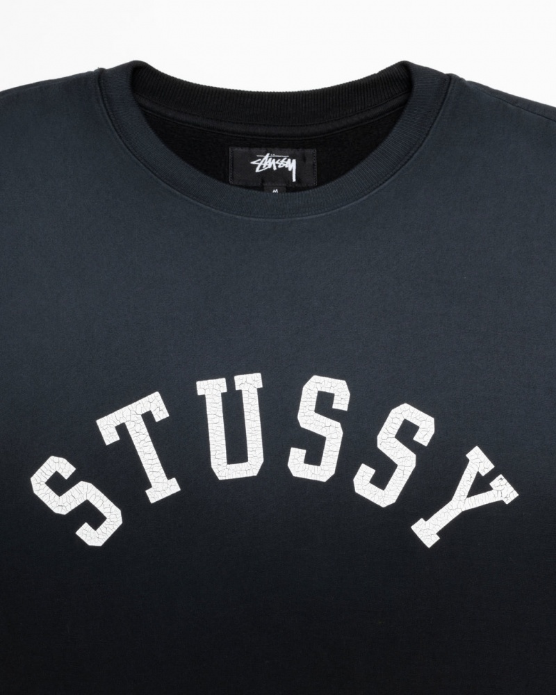 Stussy Sun Faded Oversized Crew - Unisex Hoodies Sort | DKQCS10400